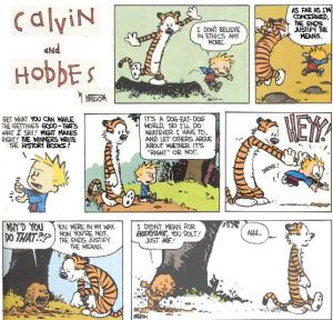 moral relativism - Calvin and Hobbes