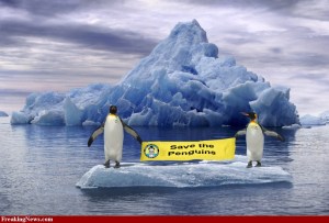 global warming will help the penguins... the advancing ice lately is causing them to travel much farther to get to food sources