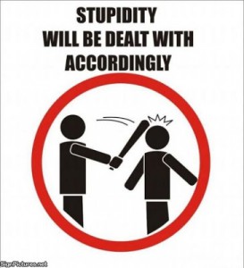 stupidity-273x300