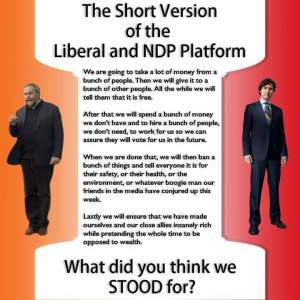 What do these parties stand for?