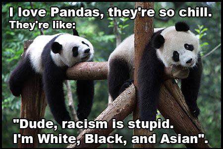 dude-racism-is-stupid