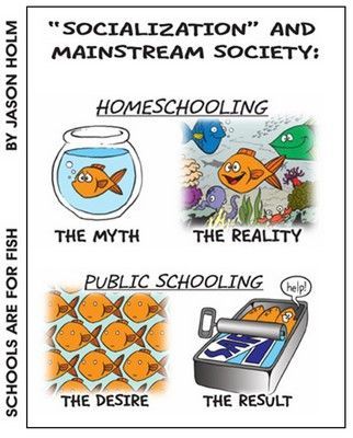 socialization-myth